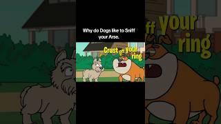 Its a Dog Sniff Dog World ilovedogs animallover youtubeshorts cartoon irish foryou [upl. by Duer866]