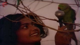 Yedalo Laya Video Song  Anveshana Movie  Bhanu Priya Ilayaraja [upl. by Hannahs494]