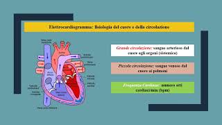 Elettrocardiogramma [upl. by Bonns]