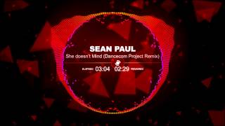 Sean Paul  She Doesnt Mind Dancecom Project Remix [upl. by Dawaj820]