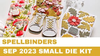 238 Spellbinders September 2023 Small Die amp 3D Embossing Folder Kits Card Inspirations [upl. by Kee]