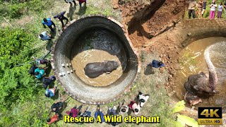 rescue a wild elephant by the farmers well attack elephant [upl. by Twelve971]