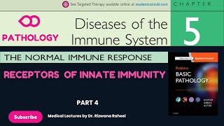 Receptors of innate immunity  Robbins Basic Pathology  Part 4 [upl. by Diarmuid303]