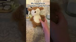 New jellycat comment a name for it [upl. by Annovy]