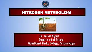 Nitrogen Fixation By Dr Varsha Nigam [upl. by Ethelstan85]