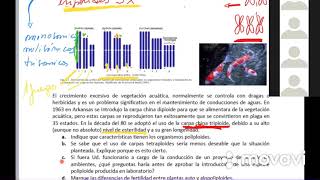 TP N°9 Variabilidad Fenotípica y Genética [upl. by Calan819]