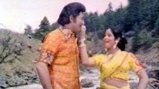 Malle Puvvu Songs  Chaka Chaka Saage  Shobhan Babu LaxmiJayasudha  HD [upl. by Nwahsel456]