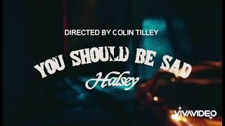 Halsey  you should be sad official video [upl. by Ilario788]