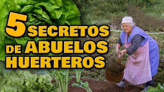 Cultiva ECOLÓGICO como Nuestros ABUELOS 🍅 5 Consejos Orgánicos para Empezar tu Huerto Urbano en Casa [upl. by Hilleary]