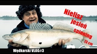 Sandacze z opadu jezioro Nielisz jesień wędkarski VLOG3 [upl. by Nosidda450]