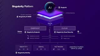 SentinelOne S Q3 2025 Earnings Presentation [upl. by Ahsatan]