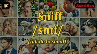 v Sniff meaning inhale to smell with 5 examples [upl. by Ailina]