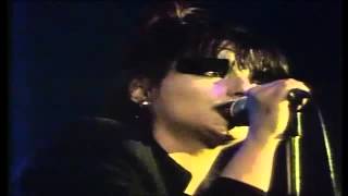 Nina Hagen  Herrmann hiess er 1978 [upl. by Yajiv115]