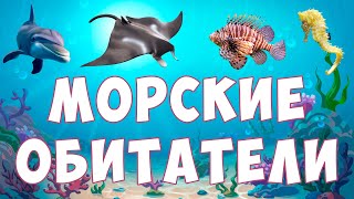 Морские животные для детей  Обитатели морей и океанов  развивающее видео для малышей [upl. by Hama]