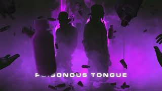 DBlock Europe  Poisonous Tongue Visualiser [upl. by Arahsal706]