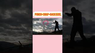 Punchsnapback Kick [upl. by Herson]