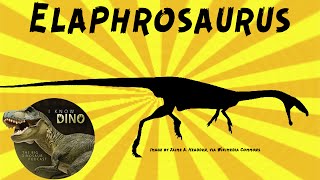 Elaphrosaurus Dinosaur of the Day [upl. by Eelrebma542]