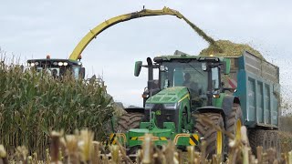 😍John Deere 8R280 et Rollspeed 3 essieux aux ensilages 2024  Favorit 916 Vs 714 💨 [upl. by Treble]