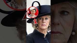 Princess Anne Takes Down Camilla Over Broken NonCompete Promise shorts catherine kate [upl. by Aihsyla]