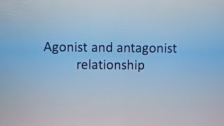 agonist and antagonist relationship graphs [upl. by Arlen]