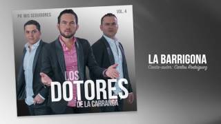 Los Dotores De La Carranga  La Barrigona Cover Audio [upl. by O'Hara]