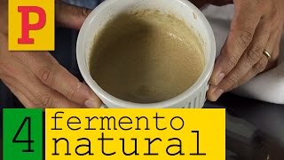 Como fazer fermento natural  Vídeo 4 [upl. by Irrab]