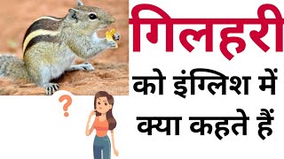 कैंची को इंग्लिश में क्या कहते हैं  Kainchi ko English mein kya Kahate Hain  kainchiinenglish [upl. by Aruasi]