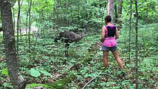 Hiker sees giant emu on Potawatomi Trail in Pinckney [upl. by Natalia570]