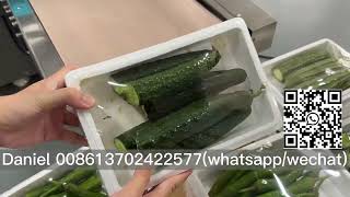 How to wrapping the fruits vegetable meat by cling film  Cling film wrapping packing machine [upl. by Heshum194]