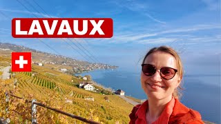 Lavaux  Hidden gem of Switzerland [upl. by Bradway524]