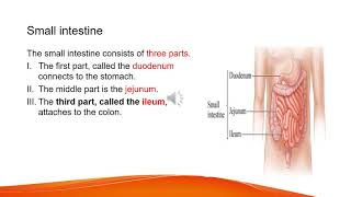 Biology Grade 9 unit 3 part six [upl. by Edmunda]