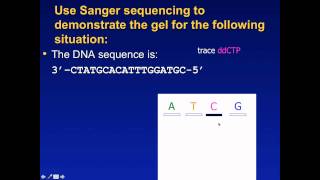 Sanger Sequencing Exercise [upl. by Oregolac349]