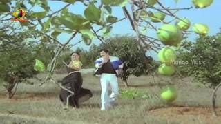 Chuttalabbai Telugu Movie Video Songs  Suvvi Suvvi Song  Krishna  Radha  Suhasini [upl. by Oilla]