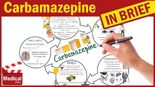 Carbamazepine Tegretol What is Carbamazepine Uses Dosage Side Effects Mechanism of Action [upl. by Sirk915]