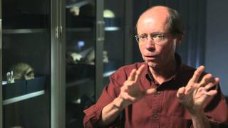 Tim White on the Intersection of Anthropology and Paleontology— HHMI BioInteractive Video [upl. by Elyrrad202]