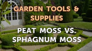 How to Grow Stronger Roots in Plants Using MiracleGro® Sphagnum Peat Moss [upl. by Straub]