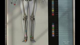 Skeletal System from wwweducaredesign [upl. by Alleinnad780]