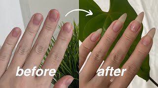 how to grow your natural nails fast [upl. by Kinghorn670]