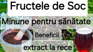 Fructele de Soc  beneficiile uimitoare pentru sanatate Suc din fructe de soc  rețetă [upl. by Anuhsal121]