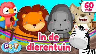 Pretlettertjes • Dierengeluiden in de Dierentuin • 60 min Special [upl. by Memory]