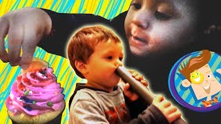 Family Vlog Face Vacuum Chases Cupcake Skylanders Pet Store  More Happy New Years [upl. by Nottus]