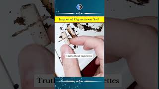 🚬 Truth About Cigarette and Soil 🍀ecosystem soil ytshorts [upl. by Risser26]