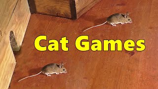 Cat Games Mouse 🐭 Mice Fun for Cats [upl. by Sweatt]