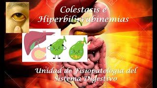 Colestasis e Hiperbilirrubinemias [upl. by Allbee]