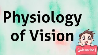 PHYSIOLOGY OF VISION [upl. by Leahey]