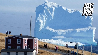 Massive iceberg stops Canada tourists in their tracks  New York Post [upl. by Suzanne]