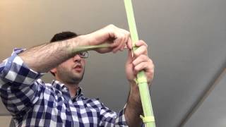 How to tie your Lulav [upl. by Arielle330]