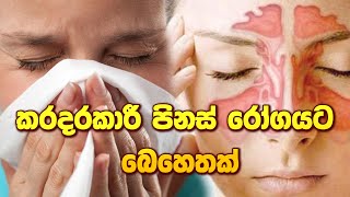 කරදරකාරී පිනස් රෝගයට බෙහෙතක් catarrh disease ayurveda sinhalaayurveda arthritiscure [upl. by Mitchael248]