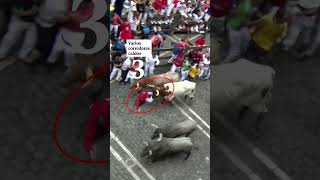 San Fermín 2024 mejores momentos del séptimo encierro [upl. by Eetse]