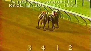 Ruffian  1974 Sorority Stakes [upl. by Egdirdle]